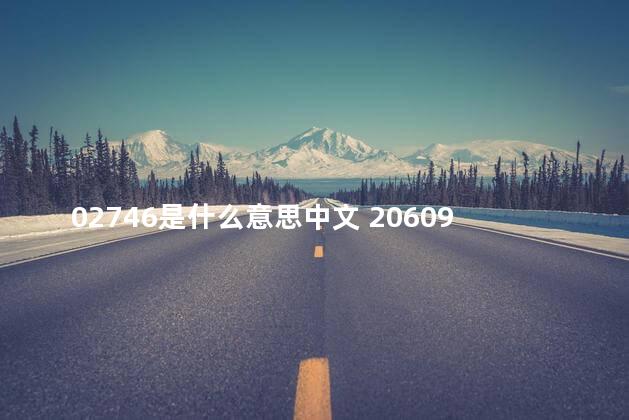 02746是什么意思中文 20609是什么意思